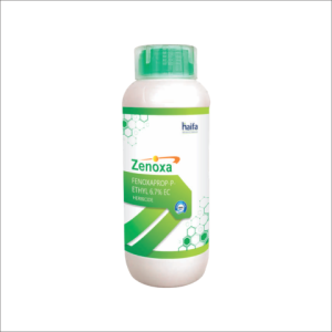 Products_ZenoaArtboard 1 (Small)